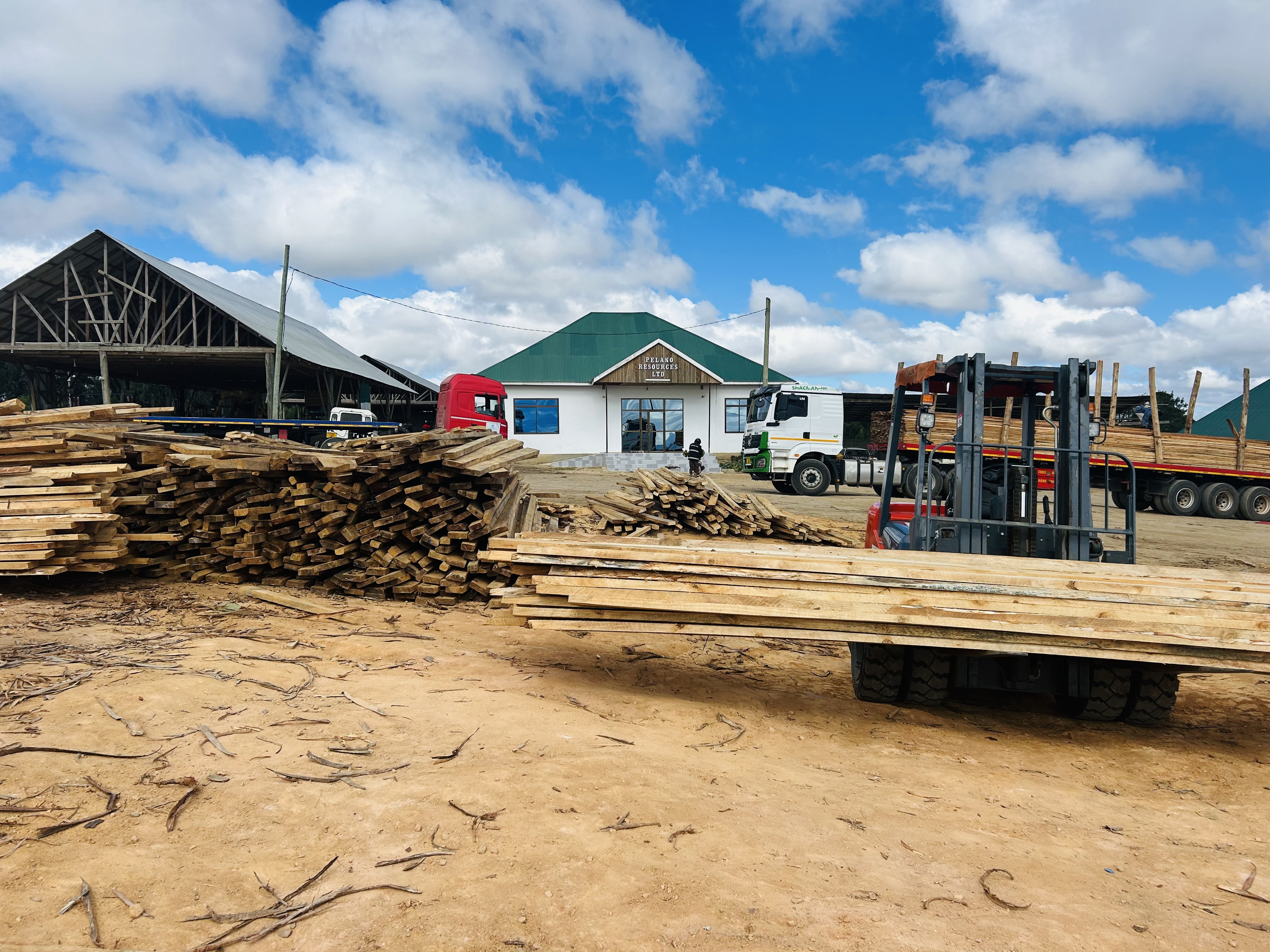 Pelano Resources forest products