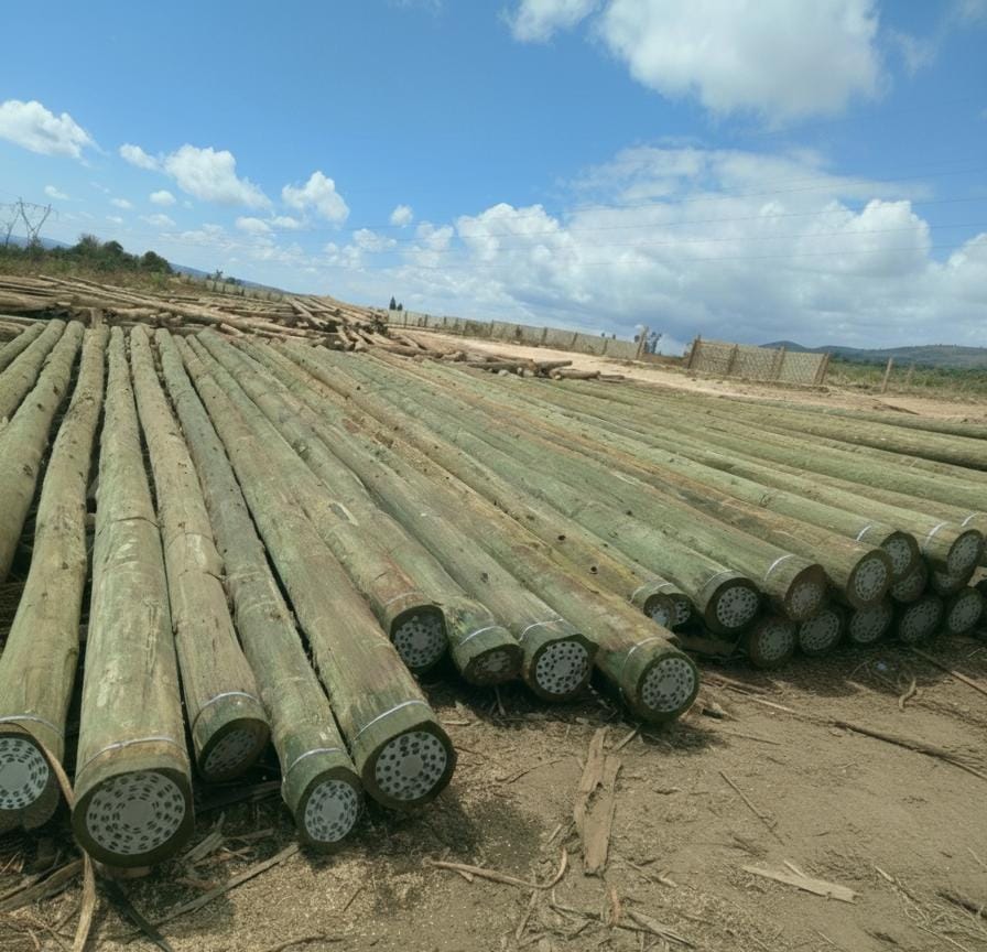 Telecom Poles