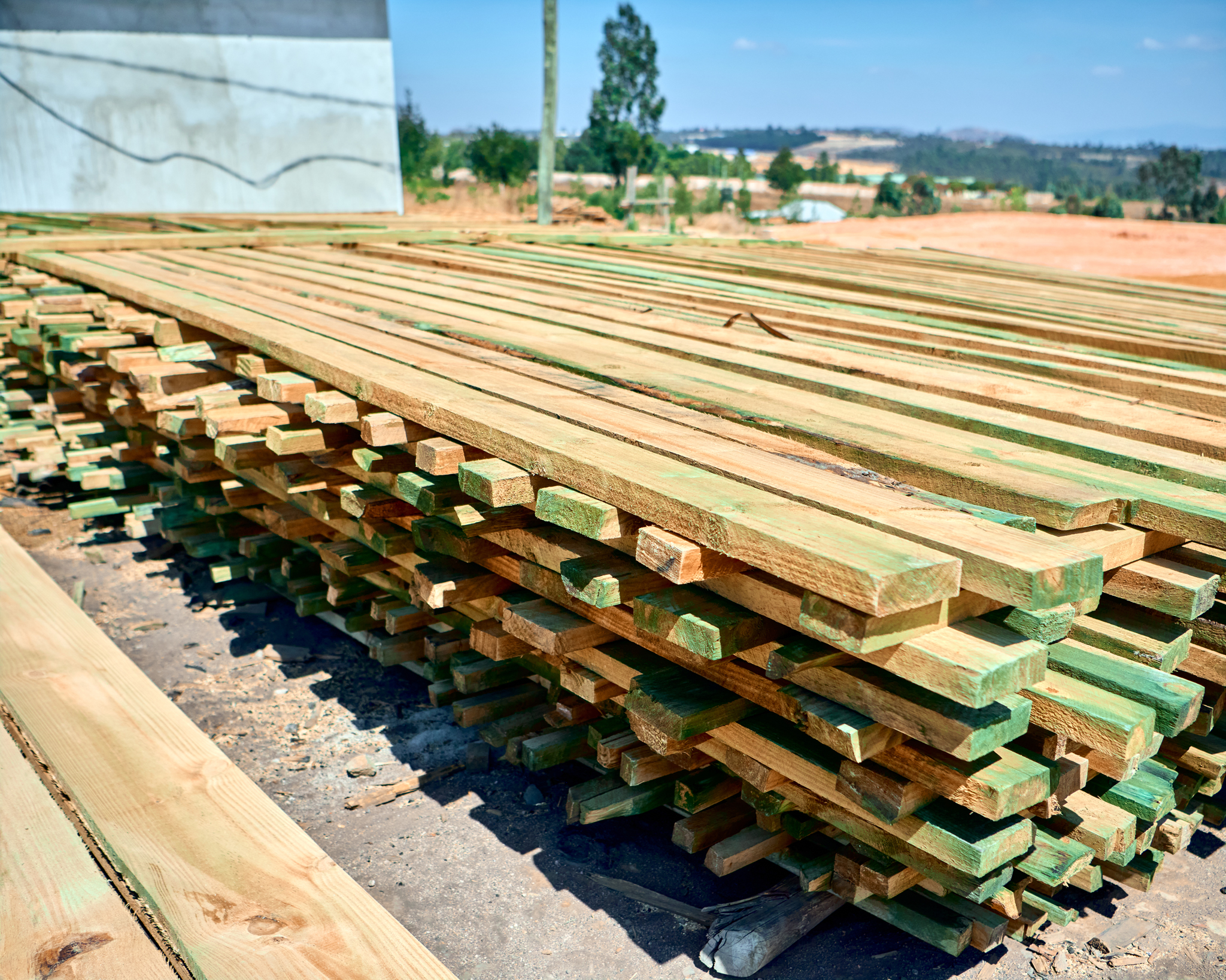 Treated Timber